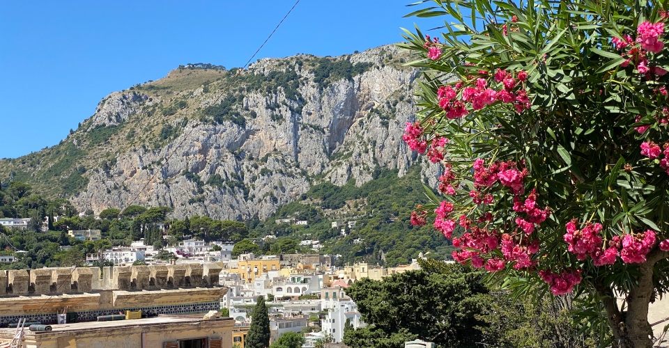 capri